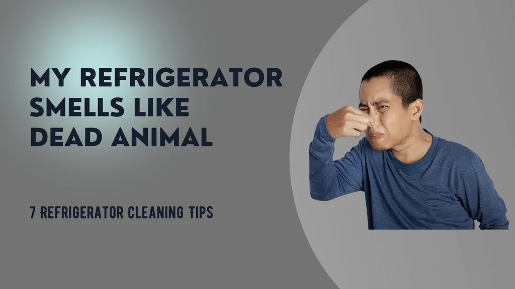 What to do if my Refrigerator smells like Dead Animal? 7 Refrigerator Cleaning Tips