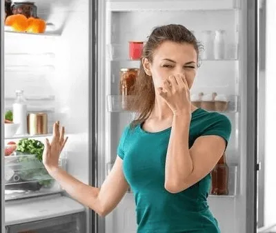 Why does my Refrigerator smells like Dead Animal?