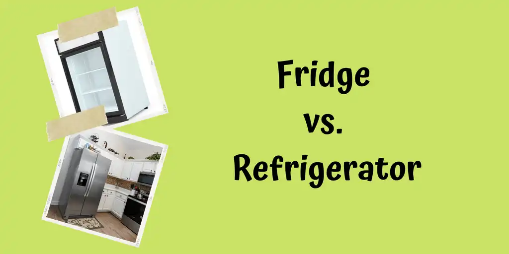 What Is the Difference Between a Fridge and a Refrigerator?