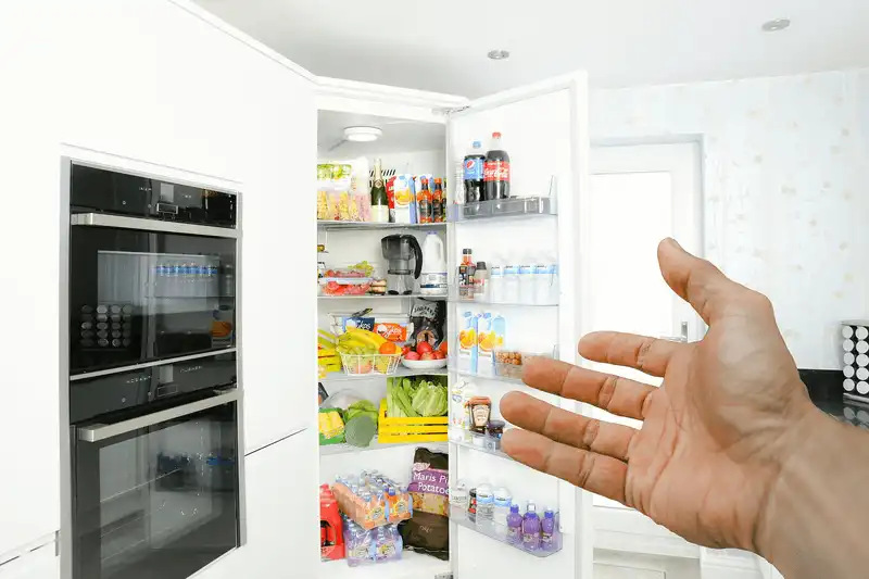 What is a Fridge, and what's its Purpose?