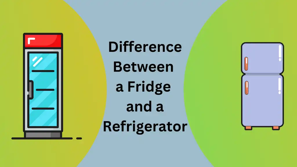What Is the Difference Between a Fridge and a Refrigerator
