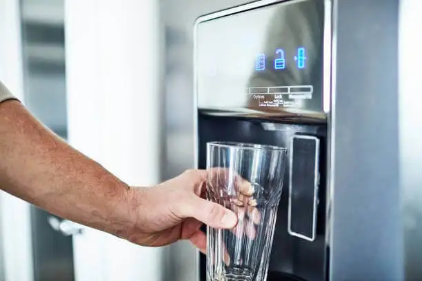 When should you clean the Fridge Water Dispenser?